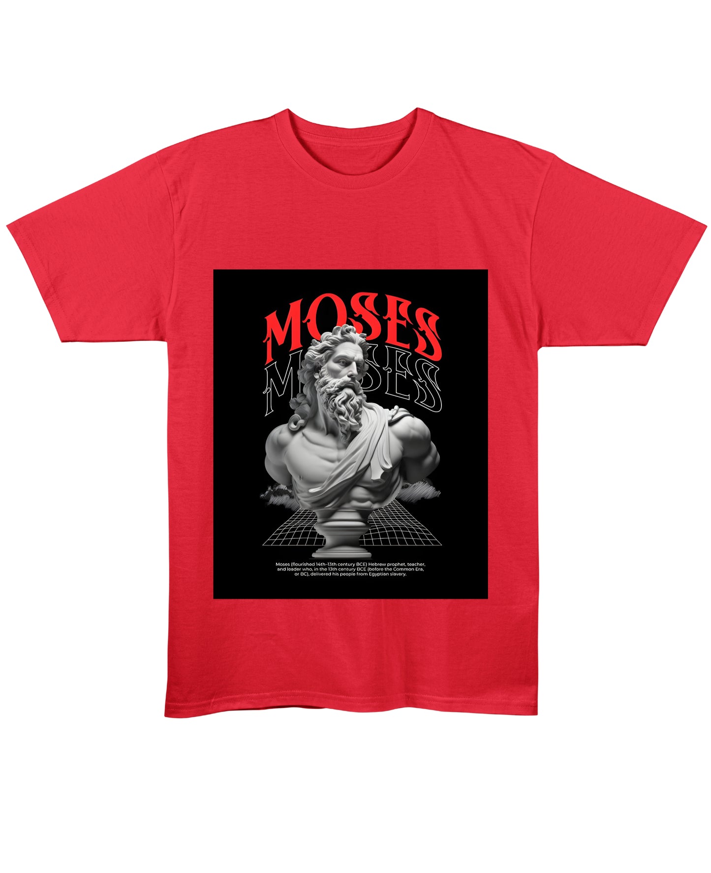 Red Regular Fit T-shirt Front Design