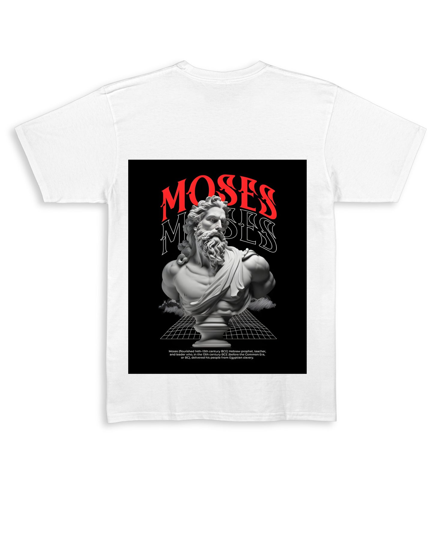 White Regular Fit T-shirt Back Design