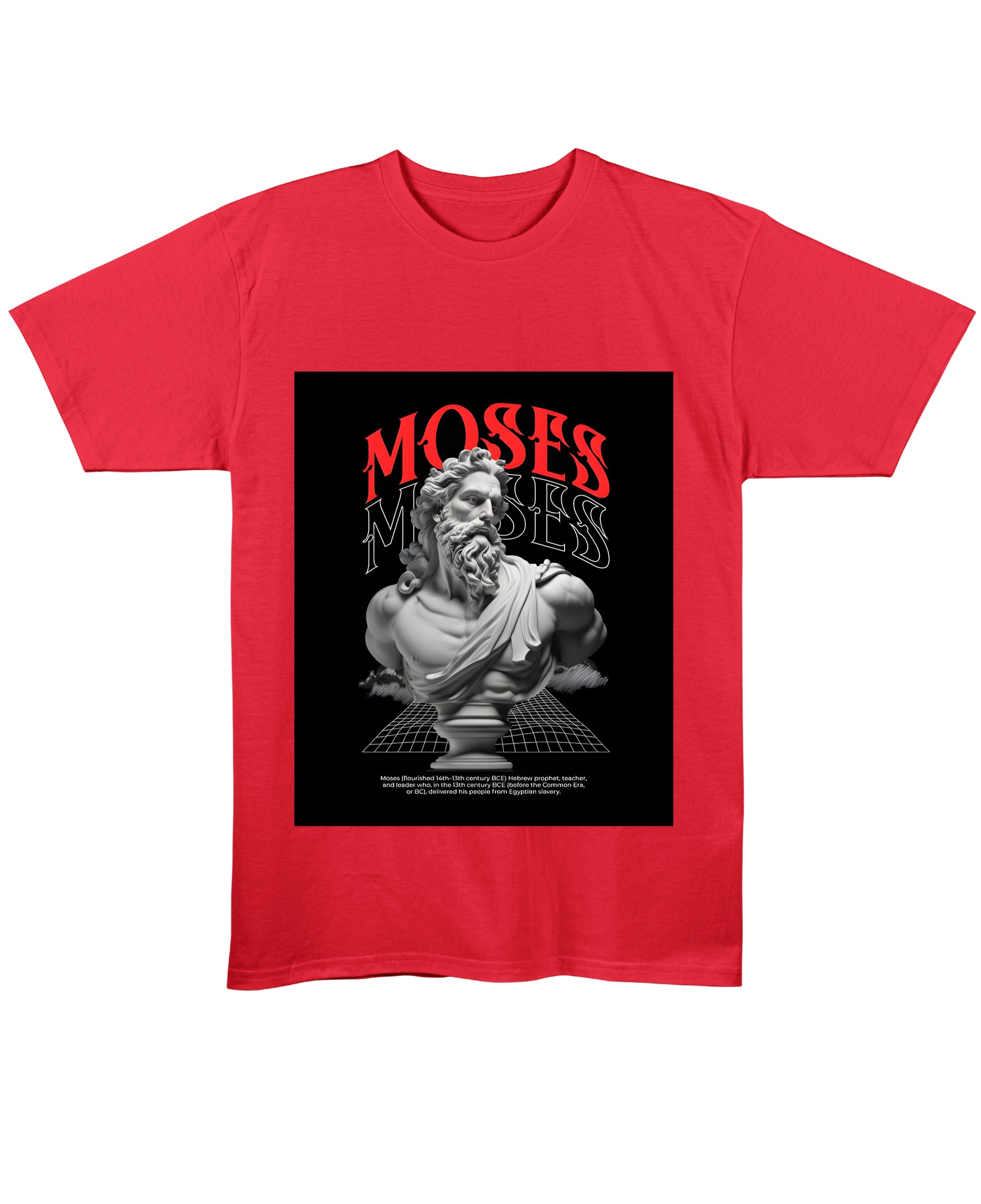 Red Regular Fit T-shirt Front Design